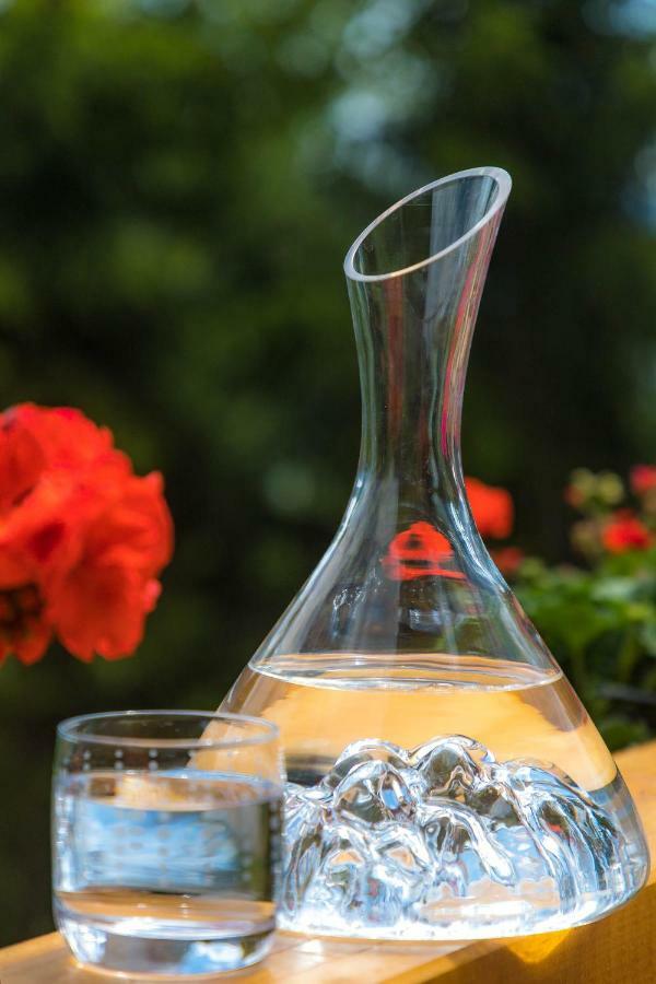 Gite&Spa Le Montagnard Saint-Jean-Saint-Nicolas Εξωτερικό φωτογραφία